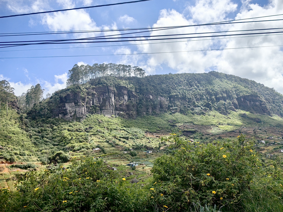 努沃勒埃利耶 市區山景